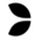 Crazy Time app icon