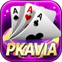 PKAVIA app icon