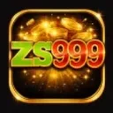 ZS999 app icon