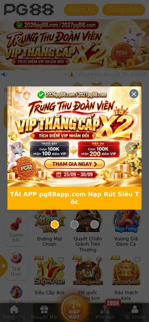 PG88 website, 26/09/2026